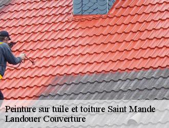 Peinture sur tuile et toiture saint-mande-94160 Landouer Couverture