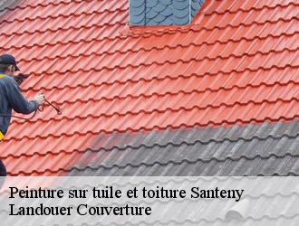 Peinture sur tuile et toiture santeny-94440 Vavasseur Couverture