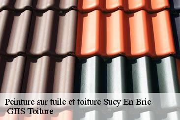 Peinture sur tuile et toiture  sucy-en-brie-94370  GHS Toiture