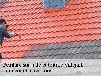 Peinture sur tuile et toiture villejuif-94800 Dumortier