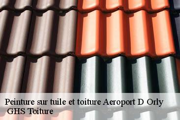 Peinture sur tuile et toiture  aeroport-d-orly-94390  GHS Toiture