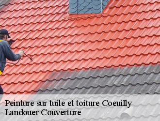 Peinture sur tuile et toiture coeuilly-94500 Vavasseur Couverture