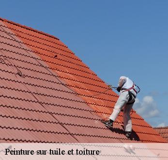 Peinture sur tuile et toiture