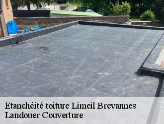 Etanchéité toiture limeil-brevannes-94450 Sabas couvreur 94
