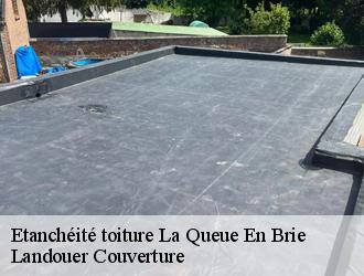 Etanchéité toiture la-queue-en-brie-94510 Vavasseur Couverture