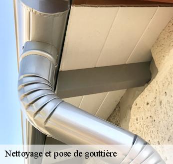 Nettoyage et pose de gouttière