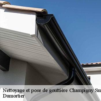 Nettoyage et pose de gouttière  champigny-sur-marne-94500 Dumortier