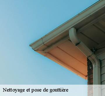 Nettoyage et pose de gouttière