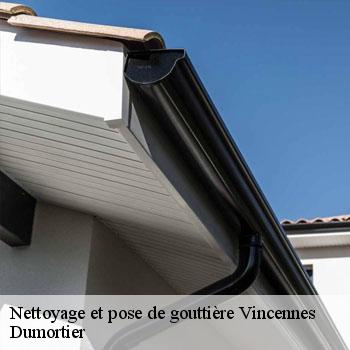 Nettoyage et pose de gouttière  vincennes-94300 Dumortier
