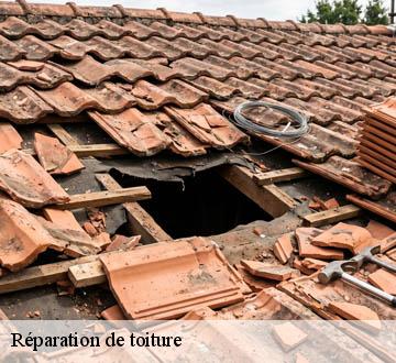 Réparation de toiture