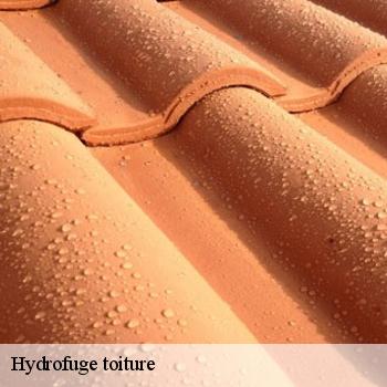 Hydrofuge toiture