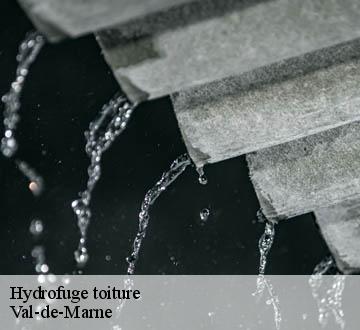 Hydrofuge toiture Val-de-Marne 