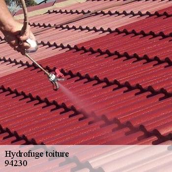 Hydrofuge toiture  94230