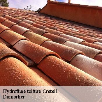 Hydrofuge toiture  creteil-94000 Dumortier