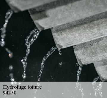 Hydrofuge toiture  94250