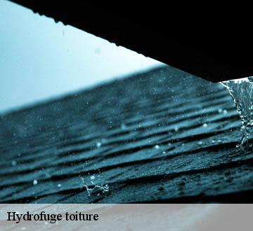 Hydrofuge toiture