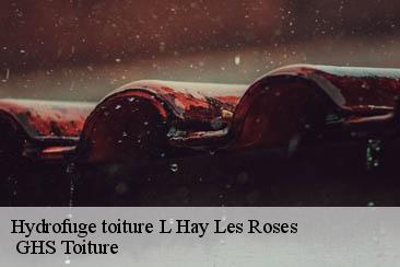 Hydrofuge toiture  l-hay-les-roses-94240  GHS Toiture