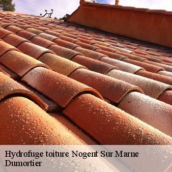 Hydrofuge toiture  nogent-sur-marne-94130 Dumortier
