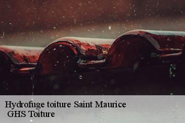 Hydrofuge toiture  saint-maurice-94410  GHS Toiture