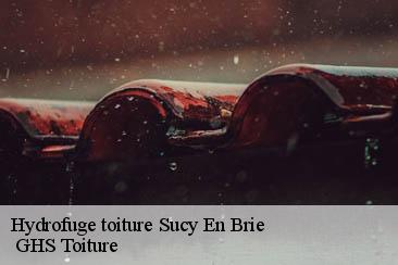 Hydrofuge toiture  sucy-en-brie-94370  GHS Toiture