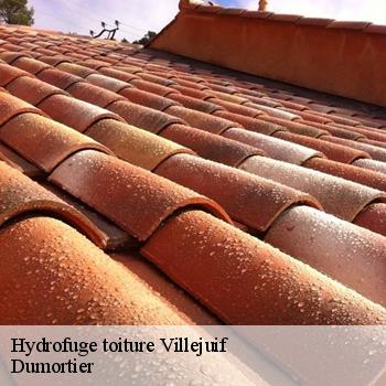Hydrofuge toiture  villejuif-94800 Dumortier