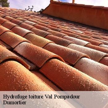 Hydrofuge toiture  val-pompadour-94460 Dumortier