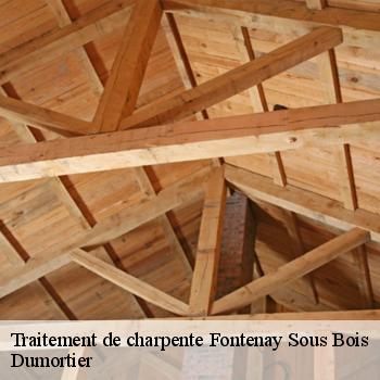 Traitement de charpente  fontenay-sous-bois-94120 Dumortier