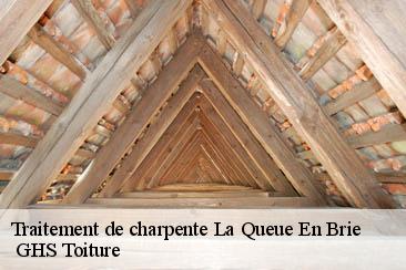 Traitement de charpente  la-queue-en-brie-94510  GHS Toiture