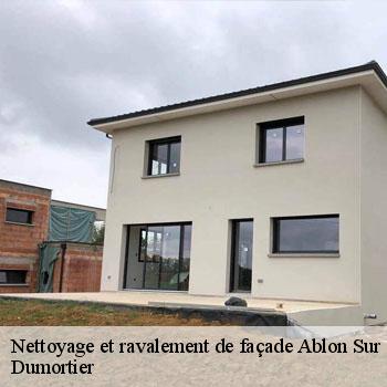 Nettoyage et ravalement de façade  ablon-sur-seine-94480 Dumortier