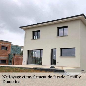 Nettoyage et ravalement de façade  gentilly-94250 Dumortier