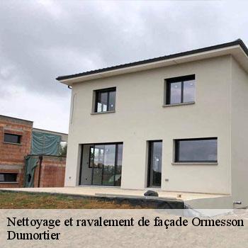 Nettoyage et ravalement de façade  ormesson-sur-marne-94490 Dumortier