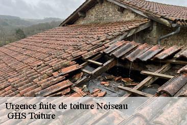 Urgence fuite de toiture  noiseau-94880  GHS Toiture