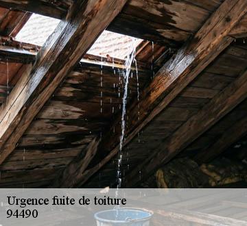 Urgence fuite de toiture  94490