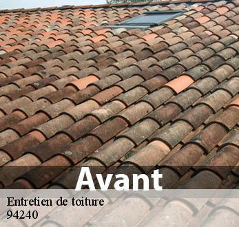 Entretien de toiture 94240