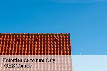 Entretien de toiture  orly-94310  GHS Toiture