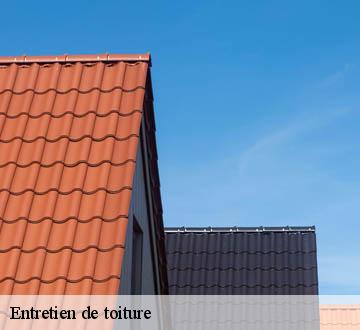 Entretien de toiture