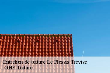 Entretien de toiture  le-plessis-trevise-94420  GHS Toiture