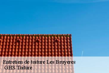 Entretien de toiture  les-bruyeres-94370  GHS Toiture